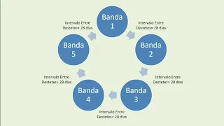 Manejo en bandas FCA