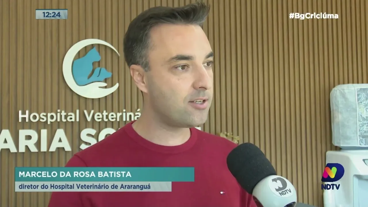 Novo Hospital Veterinário de Araranguá realiza atendimento social