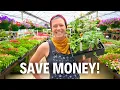 The Lazy Gardener s Guide to Plant Shopping Like a Pro