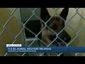 Tulsa Animal Welfare Reopens