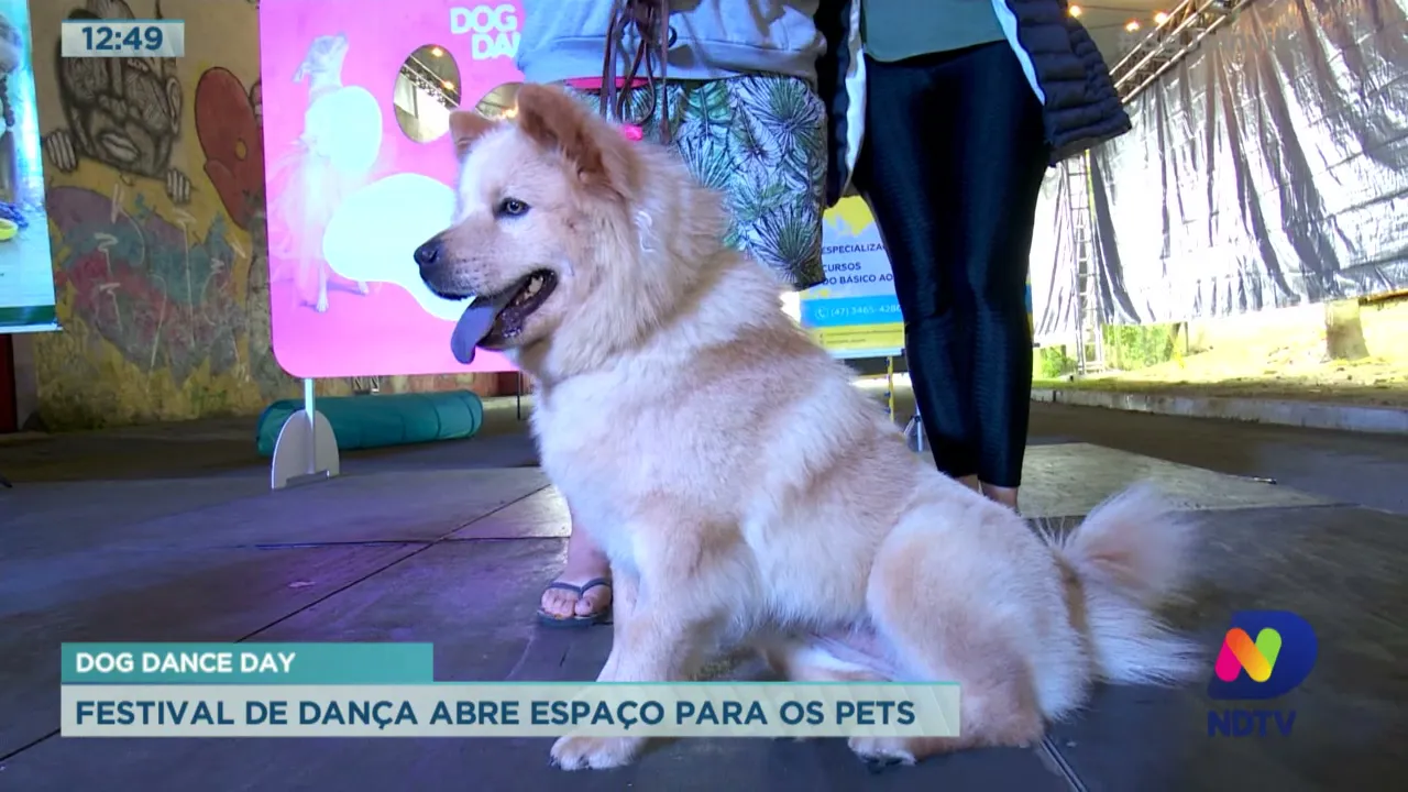Dog Dance Day: Festival de Dança abre espaço para os Pets