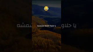 نشيد يا حلاوة القطة مشمشه بصوت فارس المنابر الشيخ كشك رحمه الله مضحك جدا 