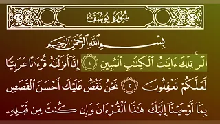 جزء 12 من القران الكريم سورة يوسف بصوت الشيخ ماهر المعيقلي 