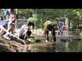 Studying Erosion and Weathering in the Elementary School