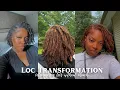 COLORING MY LOCS WITHOUT BLEACH LOC DARK BROWN TO LIGHT BROWN LOCS