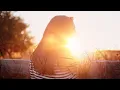 Joan Baez - One Too Many Mornings [HD]++