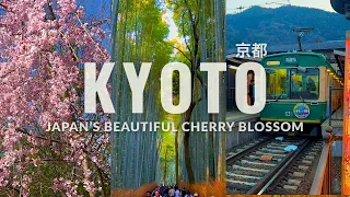 day trip to kyoto beautiful nature and architecture