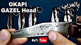 مطوه قرن غزال     إصدار مميز من شركة أوكابي الألمانية                        بحر تيوب دندنها