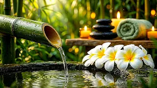 Relaxation Music Bamboo Water Fountain Healing Piano Sleep Music Meditation and Nature Sounds