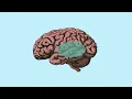 What is math fact fluency