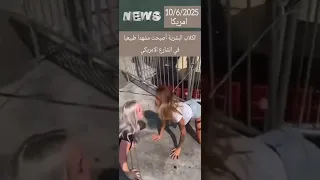 الكلاب البشرية تغزو شوارع أمريكا والمارة في صدمة 