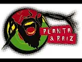 Planta & Raiz - Oh chuva, Vamos fugir