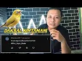Download Lagu PENJELASAN TENTANG PLECI DAKUN BALI ( DAKBAL ) KINTAMANI