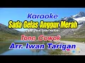 Download Lagu Karaoke Lagu Karo Sada Gelas Anggur Merah