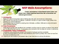 Multiple Stream Framework MSF Public Policy UofA dr Patrick Stewart