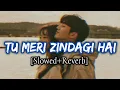 Download Lagu Tu Meri Zindagi Hai (Slowed+Reverb) | Kumar Sanu And Anuradha Paudwal | Aashiqui