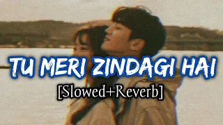 Tu Meri Zindagi Hai (Slowed+Reverb) | Kumar Sanu And Anuradha Paudwal | Aashiqui