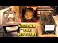 The Sleeping Beauty The Mummy of Rosalia Lombardo