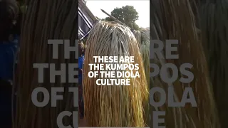 Kumpos incarnate forest spirits for Diola #windedvoyage #africatravel #sailinglifestyle #casamance