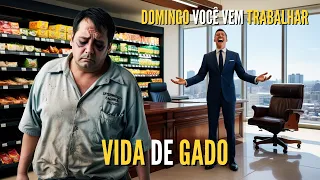 VIDA DE GADO, SUBEMPREGO NO BOSTIL | Trabalhe Enquanto Eles Dormem!