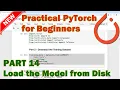 PyTorch Beginner Tutorial - Part 14 Load Your Model from Disk