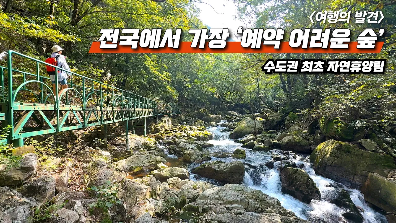 "설악산인가요!?" 수도권 최초 자연휴양림 | 요정 나오는 이끼계곡 '6.5km' 힐링 트레킹 코스 | 대중교통 당일치기 여행 썸네일
