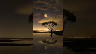 واشتد نزعى دندنها