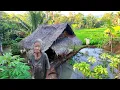 Lagu Kaget ..!! Jumpa Seorang Nenek Tinggal Di Rumah Terpencil Di Tengah Sawah . 