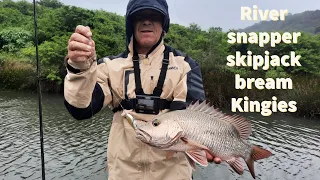 River Snapper on lure during an epic river session with full species count