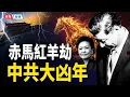 Lagu 政治局重磅會議現場驚悚內幕：為保彭麗媛， 習簽降書面如s灰，張又俠讓人失望？赤馬紅羊劫，正撞中共衝太歲大凶年！    主播：黃容 【時局縱橫】