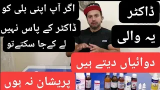 best medicine for persian cats lose motion vomiting fever all types of infections urdu hindi