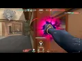 the hunt begins