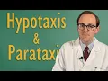 Lagu Refine Your Writing Style with Hypotaxis and Parataxis