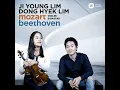 Violin Sonata No. 21 in E Minor, K. 304: I. Allegro