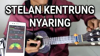 Download CARA MENYETEM KENTRUNG SENAR 4 | SUARA LEBIH ENAK \u0026 LEBIH NYARING MP3