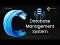 C98 Menu Driven Database Management System in C