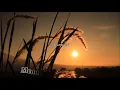 Download Lagu BAGUS MU TENANAN ORA EDITAN SING MARAI AKU KEDANAN #VIRAL #ANGEL #VERSICEWEK #TRENDING