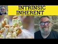 Inherent Meaning - Intrinsic Defined
