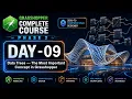 Day 09 Data Trees in Grasshopper FINALLY Explained Flatten Graft Path Mapper
