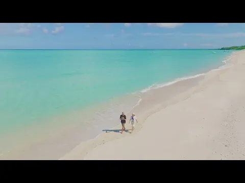 無人航空機2等免許取得！補助者有！イメージ動画の撮影、物件、ウェディングムービー