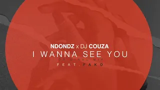 ndondz u0026 dj couza feat fako wanna see you original mix 