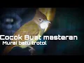 Download Lagu masteran tepat buat murai batu trotol cucak jenggot speed