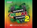 Wild World (Karaoke Version) (Originally Performed by Maxi Priest)