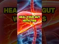 HEAL Your Gut FAST After Antibiotics