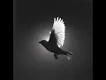 Praise (Instrumental Worship)