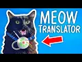 Download Lagu Incredible Cat Tech