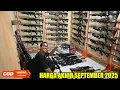 Download Lagu Harga senapan angin di akhir september 2025 (PCP BOCAP PREDATOR, FX, ROYAL \u0026 GHOST READY)