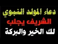 Download Lagu دعاء ليله المولد النبوي الشريف 🍂 حبيبي يا رسول الله 🍀♥️ - علاء عقل