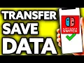 How To Transfer Switch Save Data to PC EASY