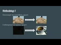 Project 3 - Image Denoising and Enhancement